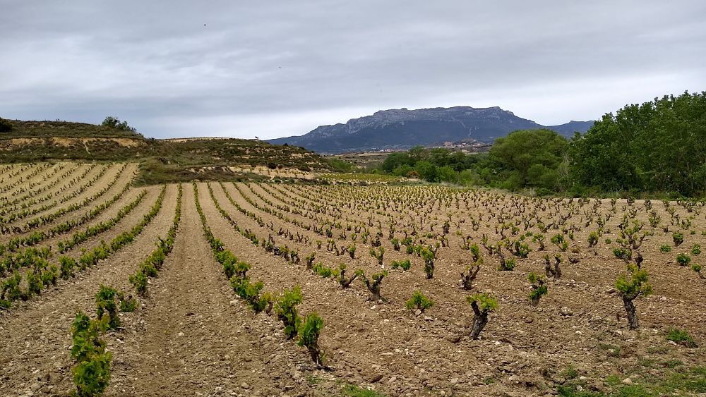 abogados en la rioja